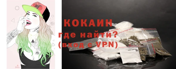 МДПВ Пересвет