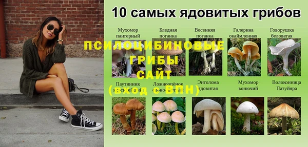 кристаллы Покров