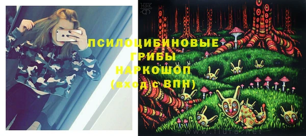 МДПВ Пересвет