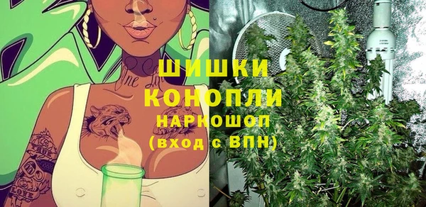 МДПВ Пересвет