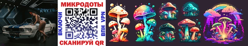 Псилоцибиновые грибы Psilocybine cubensis  Петушки 